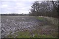 A wet field by Airth