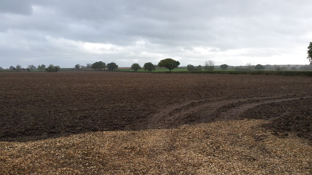 A field all ready for the next crop