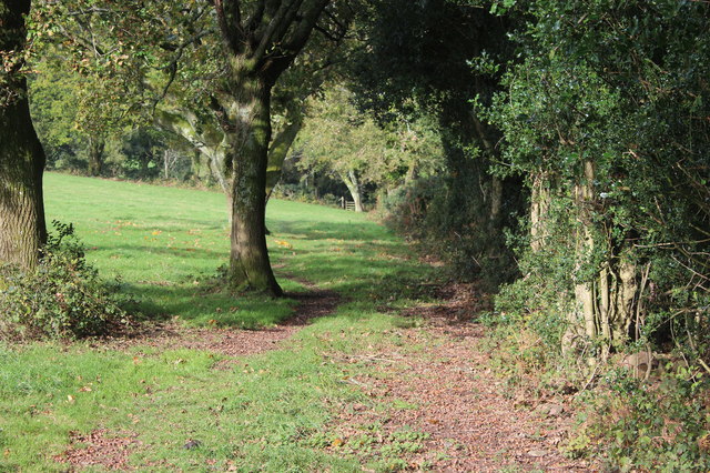 Footpath along edge of field on the side of Fox Hill