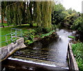 Weir across the River Kennet, Marlborough