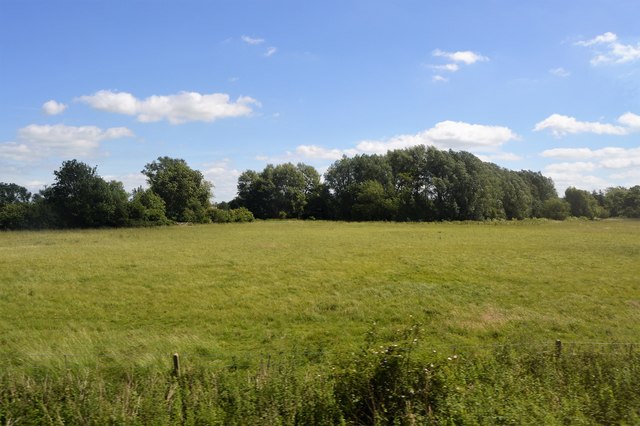 Field near Hinxton