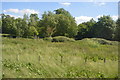 TL4944 : Grassland and trees by the River Cam by N Chadwick