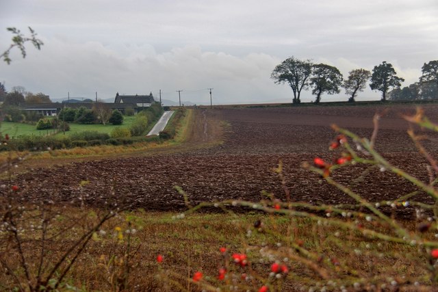 Newly ploughed field at Dubheads