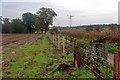 New fence at Abbey Farm