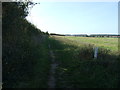 TF8344 : Footpath beside Tower Road, Burnham Overy Staithe by JThomas