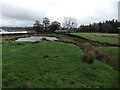 Pond at Wood Hall Farm