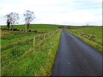H3378 : Lough Road, Drumlegagh by Kenneth  Allen