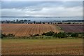 Fields near Muirmouth