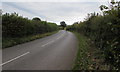 SO3617 : Hedge-lined Old Ross Road, Llanvetherine by Jaggery