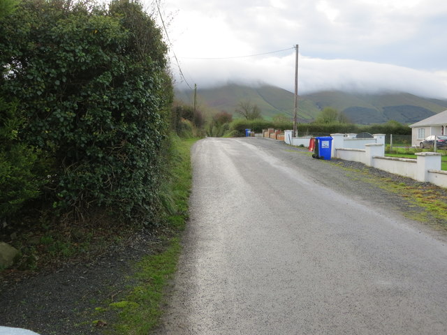 Road between Ardnamoher and Barna (Galbally)
