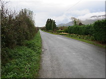 R7824 : Road from Spittle (Ballylanders) to Curraghkilbran by Peter Wood