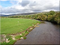 SD9767 : River Wharfe from Conistone Bridge by Ashley Dace