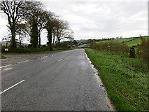 R7822 : Road (R513) between Ballyfaskin and Ballyfauskeen at Quinn's Grove by Peter Wood