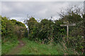 East Devon : South West Coast Path