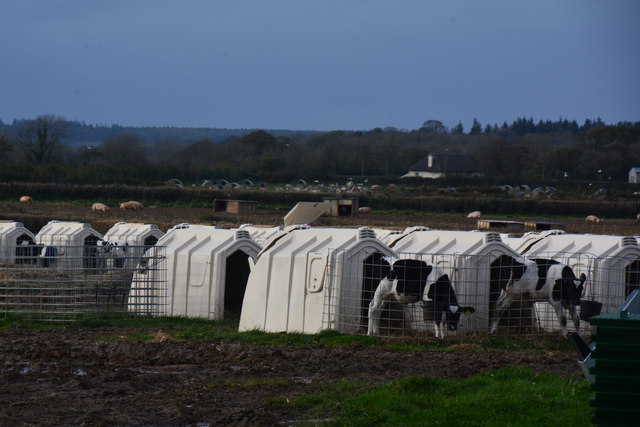 East Devon : Farm Scenery