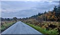 Road from Findo Gask to Perth