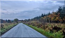 NO0420 : Road from Findo Gask to Perth by Alan Reid