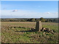 Trig point on Hound Hill