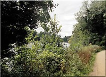SK5438 : Highfields Lake Nottingham by norman griffin
