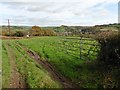 View towards Bampton