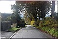 Road to Quarterbank at New Fowlis