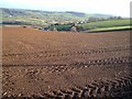 View over Higher and Lower Mead