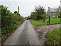 R7811 : Road from Corrobone to Ballykearney by Peter Wood
