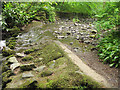 Plas Newydd - lower weir