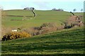 Farmland above Tor