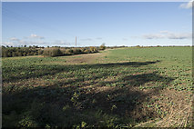 SK2037 : Silverhill Farm fields by Malcolm Neal
