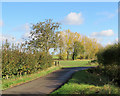 Ashwell End: a bend in the road