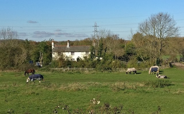 Horses near the former lock keeper's cottage