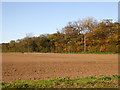 Ploughed field by Manston Road