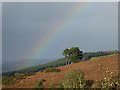 SO4366 : Rainbow over Croft Ambrey by Philip Halling