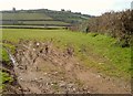 Fields near Hele Cross