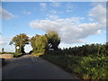 The road leaving Cromer