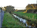 Ditch by Redhouse Wall