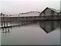 City Quay, Victoria Dock