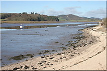 NX8354 : Low tide, Rough Firth by Richard Sutcliffe
