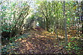 Tree-lined footpath towards Banbury