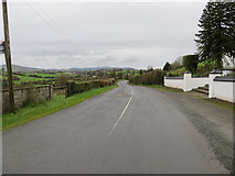 R7316 : Road (L1405) from Knockanevin to Darragh Beg and R517 by Peter Wood
