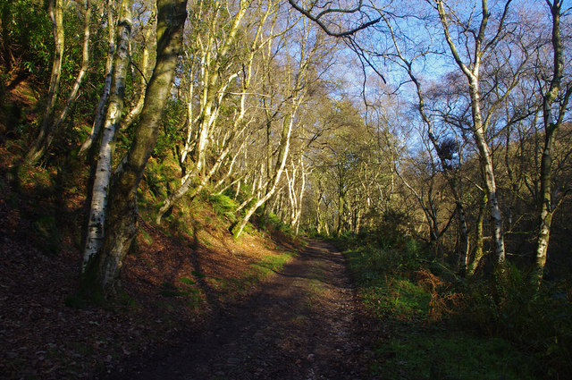 Track in Grize Dale