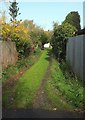 Back track, Henleaze