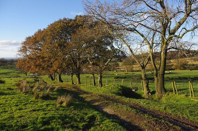 Track near Fell End