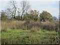 Rough Field Woodbury Lane Norton With Derelict Mothers Pride Bread Van