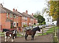 Millgate, Newark on Trent, Notts.