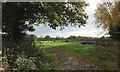 Fields near to Woolpack Farm