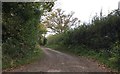 Track to Holmesdale Farm