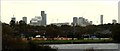 View of buildings in Stratford from the Walthamstow Wetlands