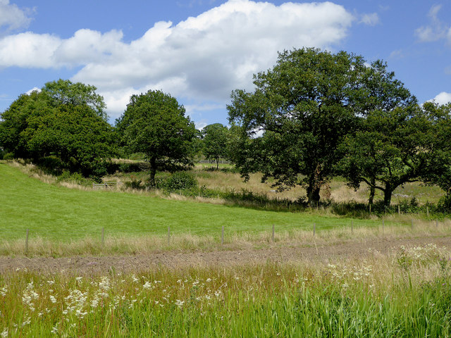 Pasture west of Stockton Brook, Stoke-on-Trent